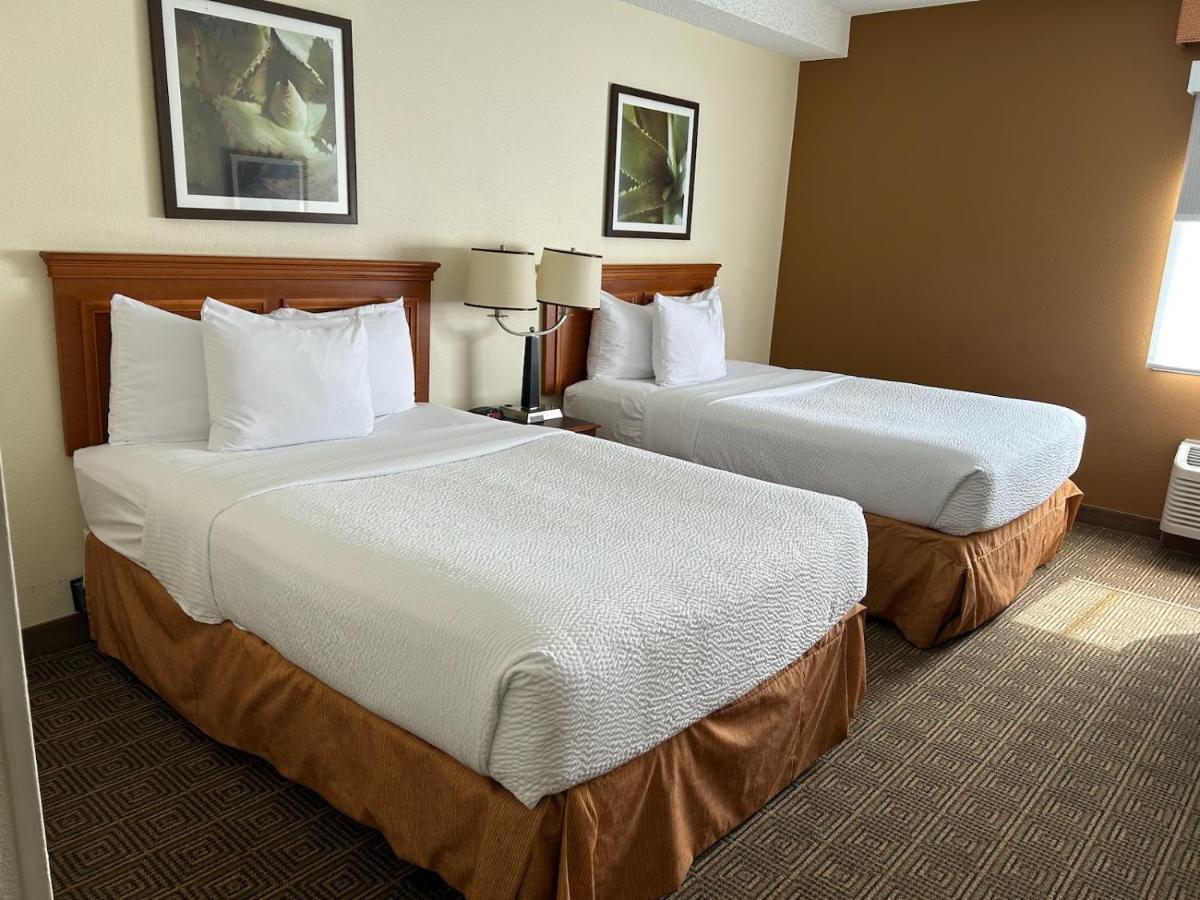 La Quinta By Wyndham Orlando South Hotel Williamsburg Ngoại thất bức ảnh