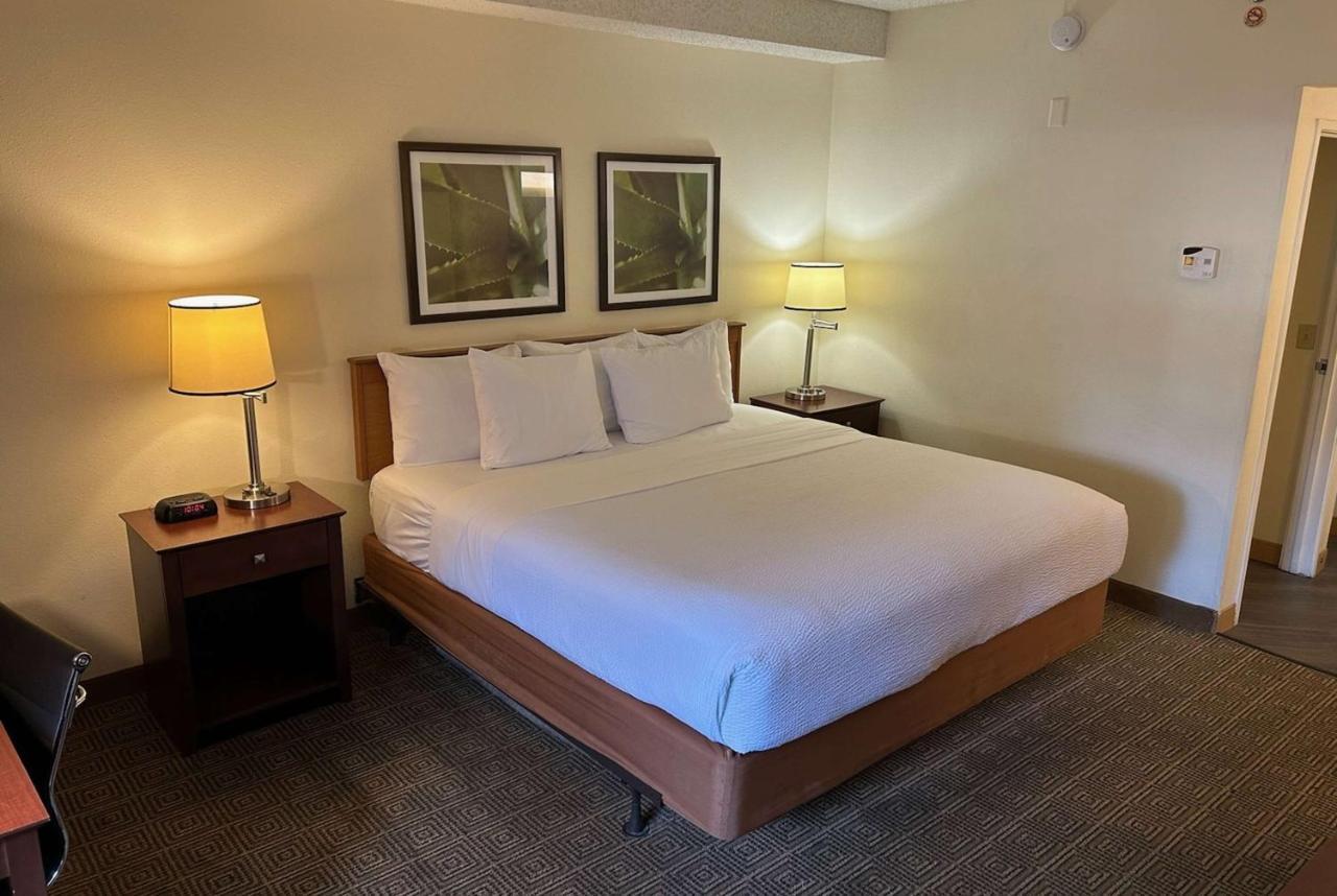 La Quinta By Wyndham Orlando South Hotel Williamsburg Ngoại thất bức ảnh