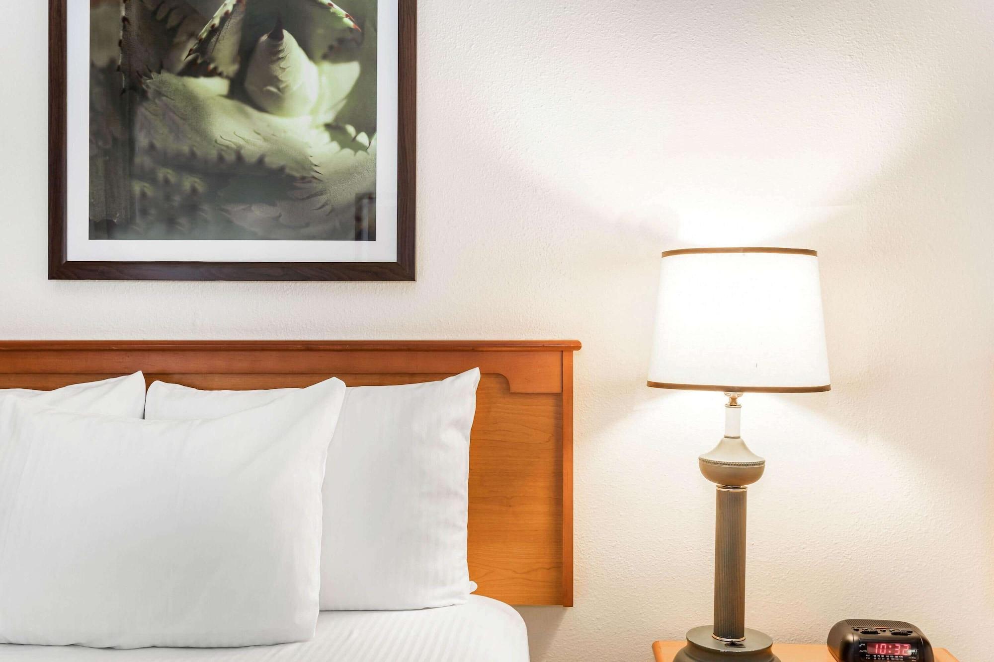 La Quinta By Wyndham Orlando South Hotel Williamsburg Ngoại thất bức ảnh